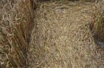 Overton Hill, Wiltshire crop circle, aerial photo 20
