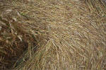 Overton Hill, Wiltshire crop circle, aerial photo 17