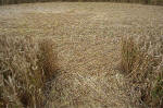 Overton Hill, Wiltshire crop circle, aerial photo 16
