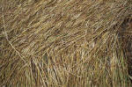 Overton Hill, Wiltshire crop circle, aerial photo 27