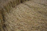 Overton Hill, Wiltshire crop circle, aerial photo 15