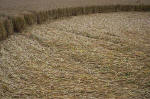 Overton Hill, Wiltshire crop circle, aerial photo 42