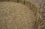 Overton Hill, Wiltshire crop circle, aerial photo 24