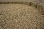 Overton Hill, Wiltshire crop circle, aerial photo 21