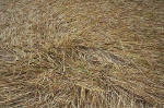 Overton Hill, Wiltshire crop circle, aerial photo 33