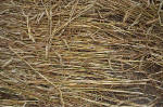 Overton Hill, Wiltshire crop circle, aerial photo 36