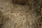 Overton Hill, Wiltshire crop circle, aerial photo 39