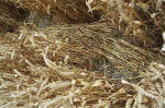 Overton Hill, Wiltshire crop circle, aerial photo 41