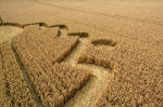 Overton Hill, Wiltshire crop circle, aerial photo 5