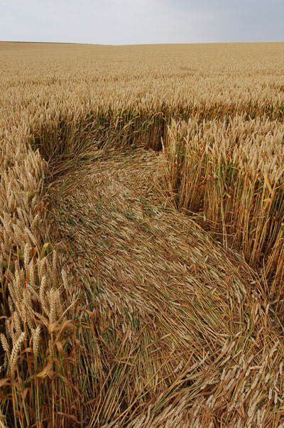 Overton Hill, Wiltshire crop circle, aerial photo 14