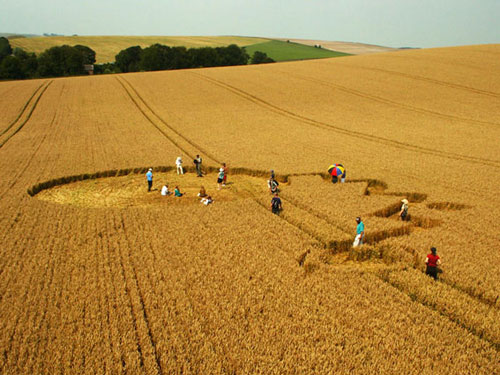 Overton Hill, Wiltshire crop circle, aerial photo 8