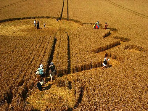 Overton Hill, Wiltshire crop circle, aerial photo 10