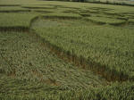 Rollright Stone Circle, Oxfordshire crop circle, aerial photo 26