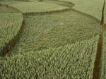 Rollright Stone Circle, Oxfordshire crop circle, aerial photo 27