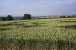 Rollright Stone Circle, Oxfordshire crop circle, aerial photo 11