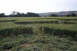 Rollright Stone Circle, Oxfordshire crop circle, aerial photo 12