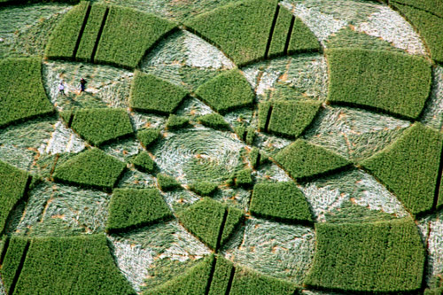 Rollright Stone Circle, Oxfordshire crop circle, aerial photo 22