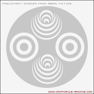 Savernake Forest, Wiltshire crop circle, aerial photo 9