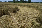 Savernake Forest, Wiltshire crop circle, aerial photo 41