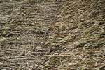 Savernake Forest, Wiltshire crop circle, aerial photo 42