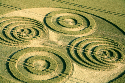 Savernake Forest, Wiltshire crop circle, aerial photo 24