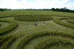 Savernake Forest, Wiltshire crop circle, aerial photo 5