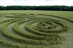 Savernake Forest, Wiltshire crop circle, aerial photo 7