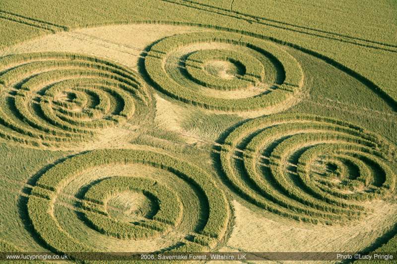 Savernake Forest, Wiltshire crop circle, aerial photo 2