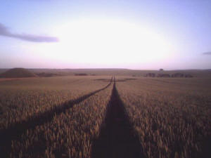 Silbury Hill, Wiltshire crop circle, aerial photo 20