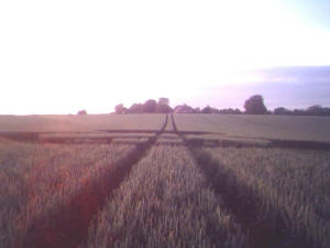 Silbury Hill, Wiltshire crop circle, aerial photo 32