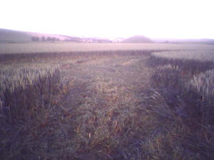 Silbury Hill, Wiltshire crop circle, aerial photo 21