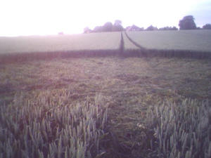 Silbury Hill, Wiltshire crop circle, aerial photo 23