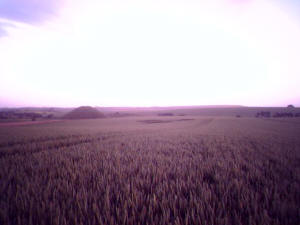 Silbury Hill, Wiltshire crop circle, aerial photo 33