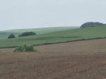 Silbury Hill, Wiltshire crop circle, aerial photo 14
