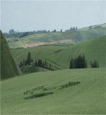 Silbury Hill, Wiltshire crop circle, aerial photo 15
