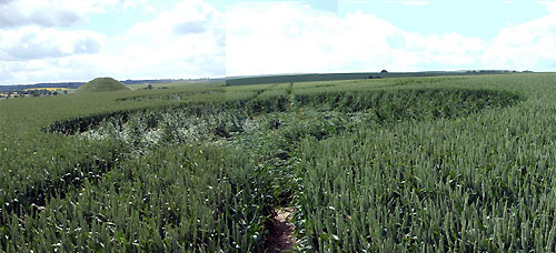 Silbury Hill, Wiltshire crop circle, aerial photo 5