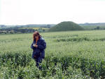 Silbury Hill, Wiltshire crop circle, aerial photo 6