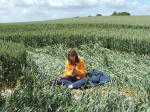 Silbury Hill, Wiltshire crop circle, aerial photo 11