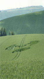 Silbury Hill, Wiltshire crop circle, aerial photo 16