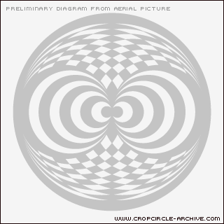 Old Hayward Farm, Wiltshire crop circle, aerial photo 12