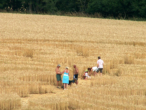 Old Hayward Farm, Wiltshire crop circle, aerial photo 18