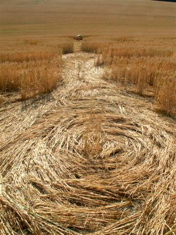 Old Hayward Farm, Wiltshire crop circle, aerial photo 5