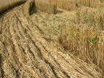 Old Hayward Farm, Wiltshire crop circle, aerial photo 7