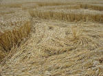 Toot Balden, Oxfordshire crop circle, aerial photo 6