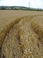 Toot Balden, Oxfordshire crop circle, aerial photo 7