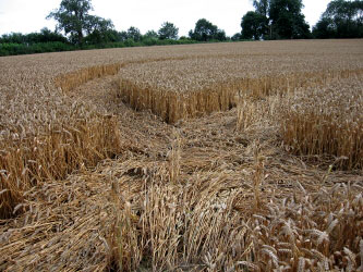 Toot Balden, Oxfordshire crop circle, aerial photo 5