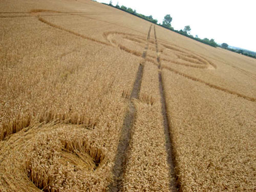 Toot Balden, Oxfordshire crop circle, aerial photo 11