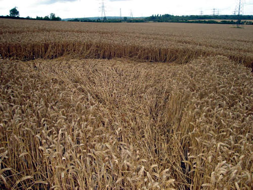 Toot Balden, Oxfordshire crop circle, aerial photo 13