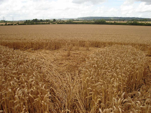 Toot Balden, Oxfordshire crop circle, aerial photo 12