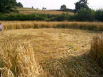 Townsend Farm, Nr Ilminster crop circle, aerial photo 10